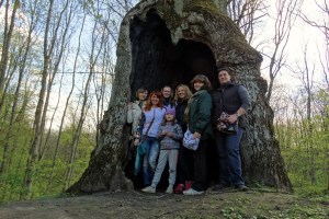 Мезинський національний парк